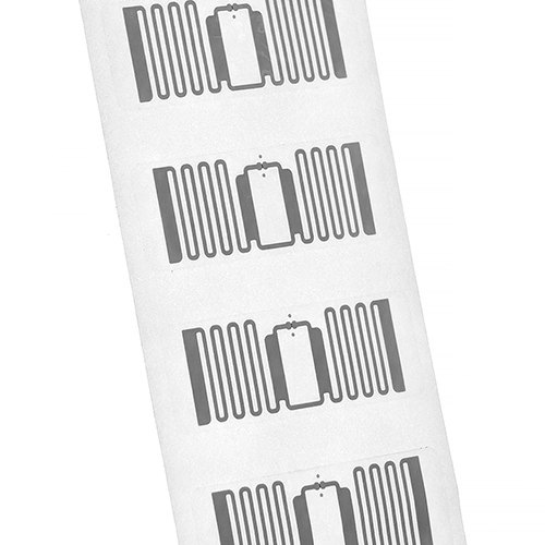 PXL_20251105_043435537