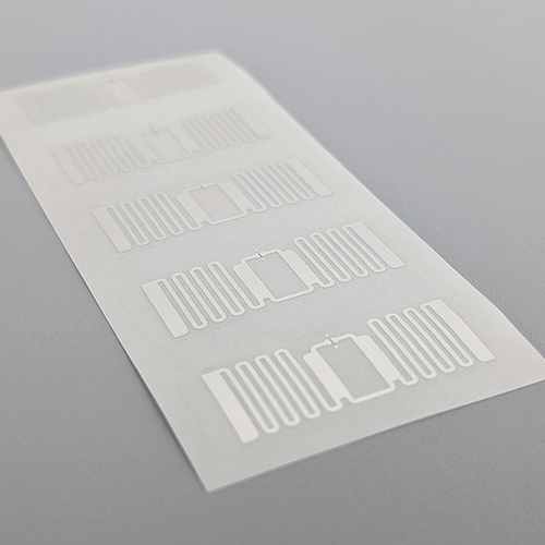 PXL_20251105_050332899