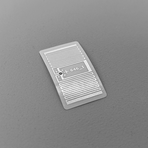 PXL_20251105_051347735