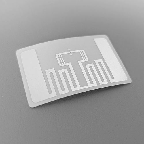 PXL_20251105_051548937