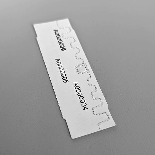 PXL_20251105_051855565