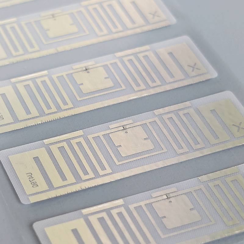 PXL_20251105_052135336